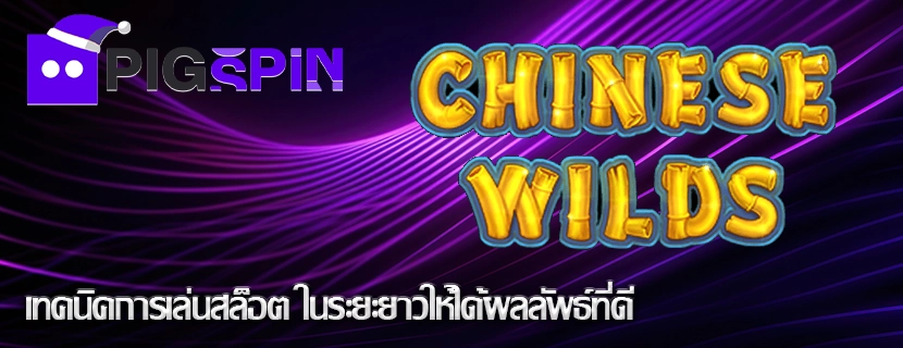 เทคนิคการเล่นสล็อต ในระยะยาวให้ได้ผลลัพธ์ที่ดี